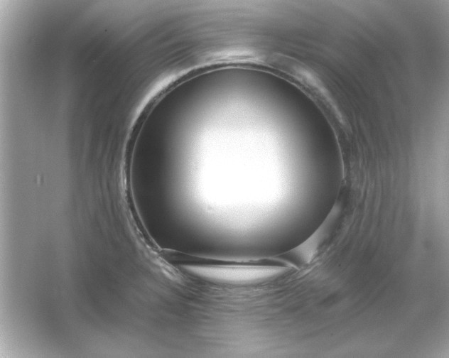 X0000066021328200603171522