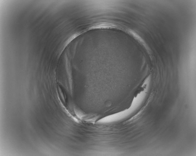 X0000066021329200603171522