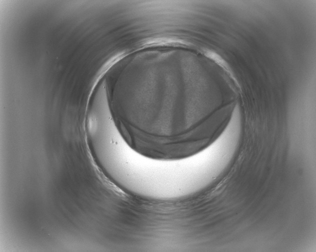 X0000066021330200603171522