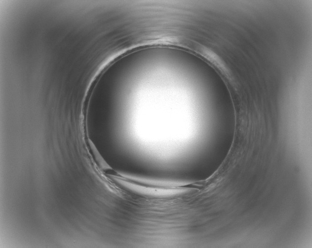 X0000066021332200603171522