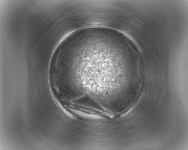 X0000066021333200603171522