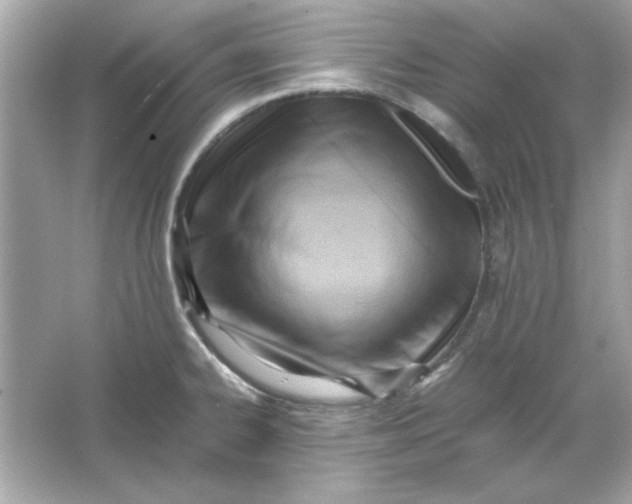 X0000066021334200603171522