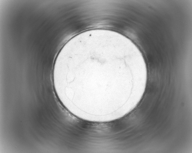 X0000066021338200603171522