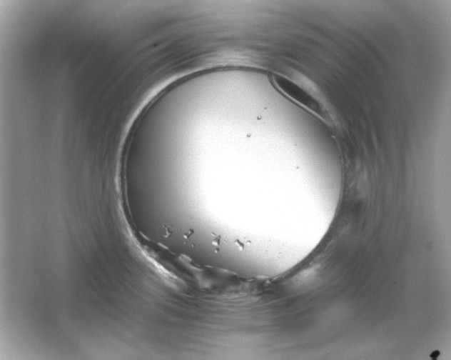 X0000066021339200603171522