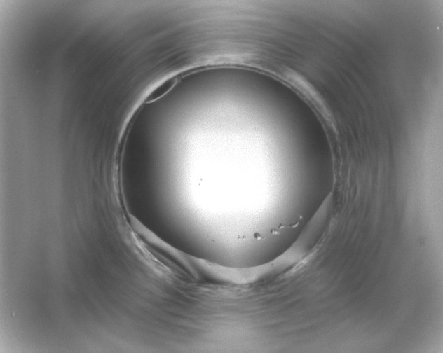 X0000066021340200603171522