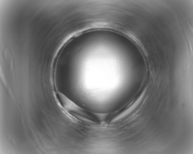 X0000066021342200603171522