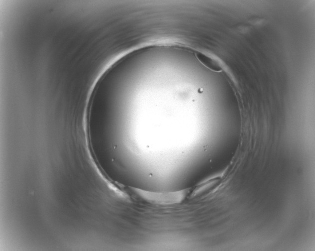 X0000066021343200603171522