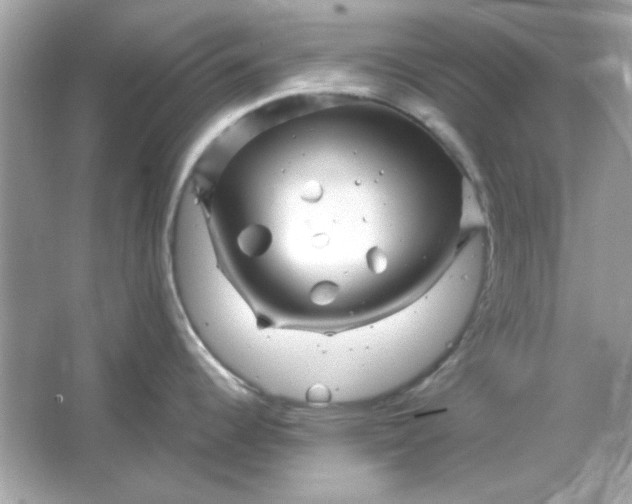 X0000066021344200603171522