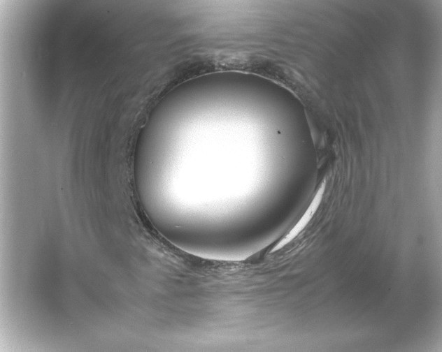 X0000066021345200603171521