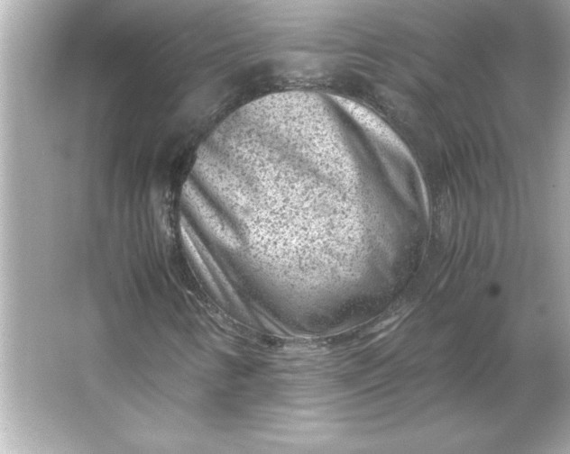 X0000066021346200603171521