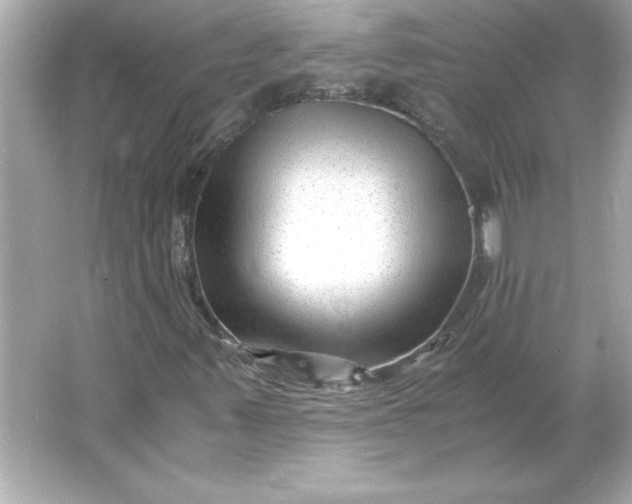 X0000066021347200603171521