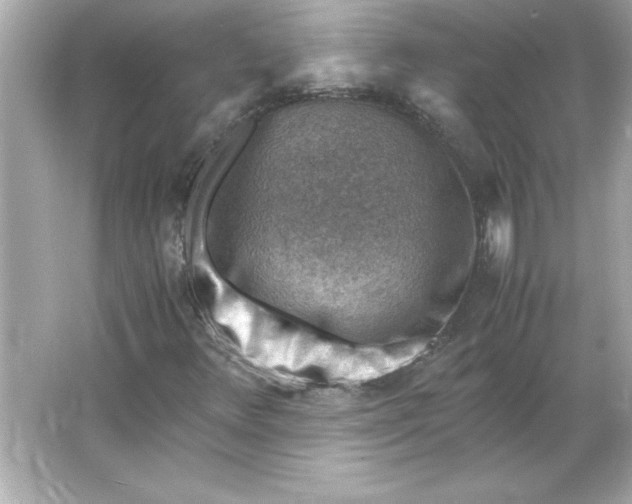 X0000066021348200603171521