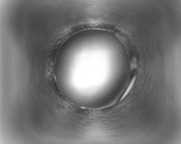 X0000066021349200603171521