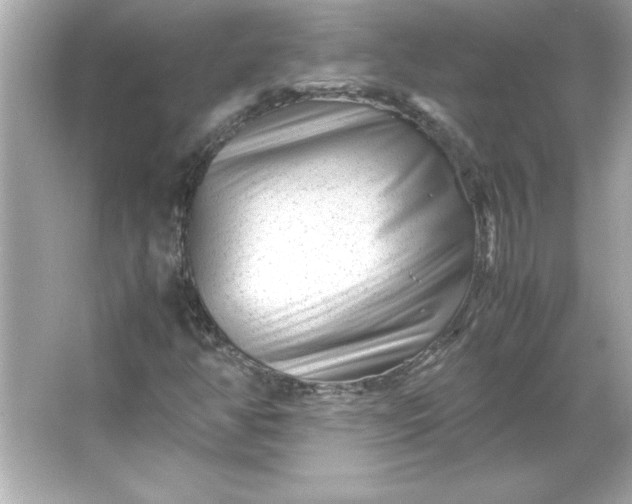 X0000066021350200603171521