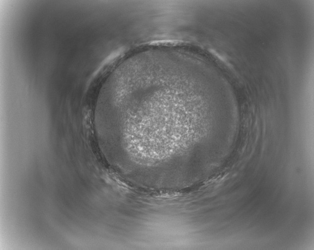 X0000066021351200603171521