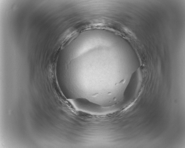 X0000066021353200603171521