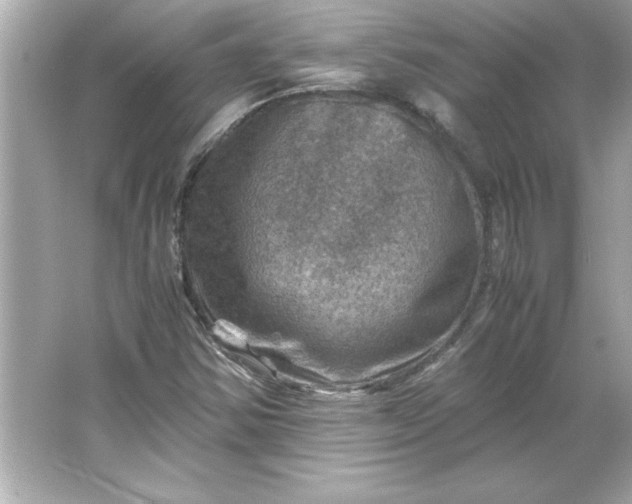 X0000066021354200603171521