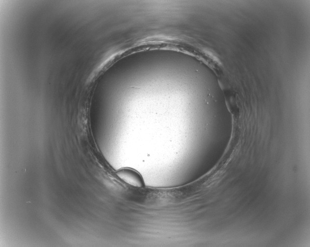 X0000066021355200603171521