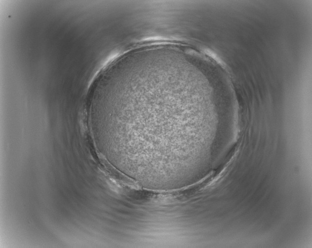 X0000066021357200603171521