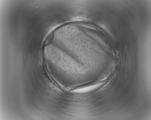 X0000066021358200603171521