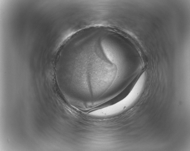 X0000066021359200603171521