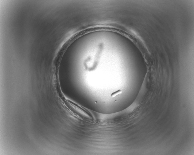 X0000066021360200603171521