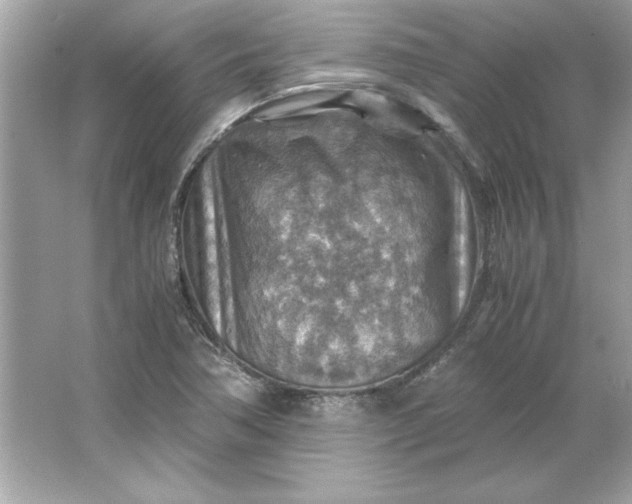 X0000066021362200603171521