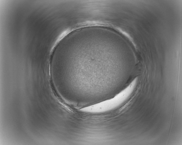 X0000066021365200603171521