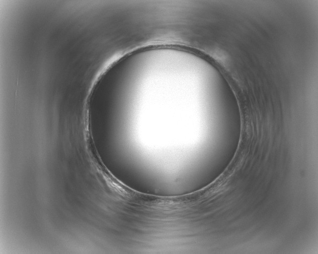 X0000066021366200603171521