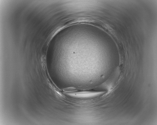 X0000066021369200603171521