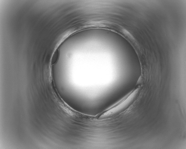 X0000066021370200603171521