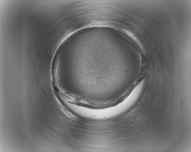 X0000066021372200603171521