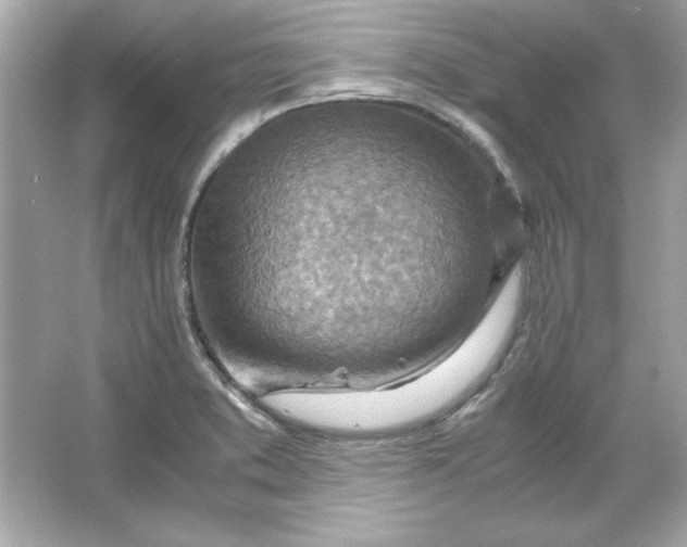 X0000066021373200603171521