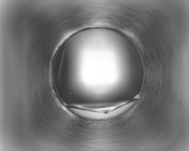 X0000066021374200603171521