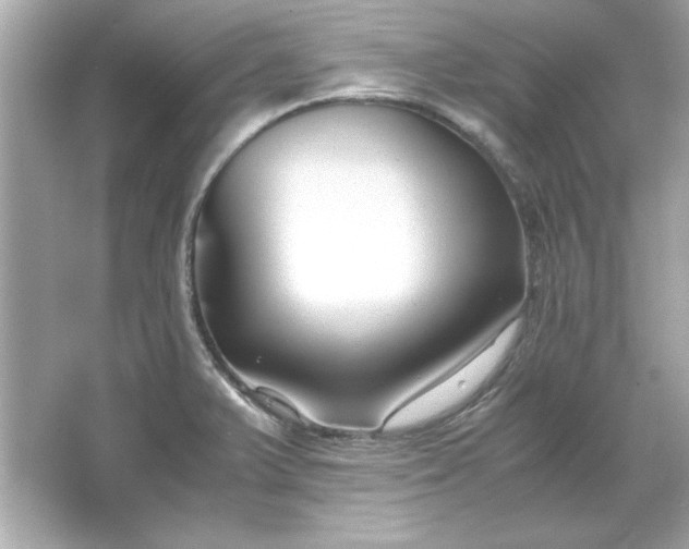 X0000066021375200603171521