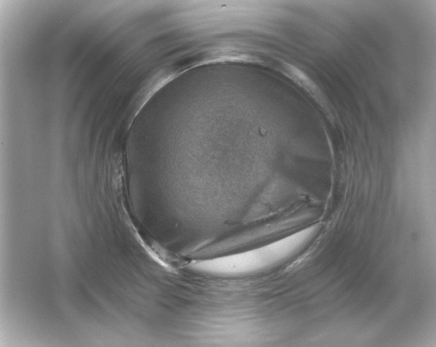 X0000066021377200603171521