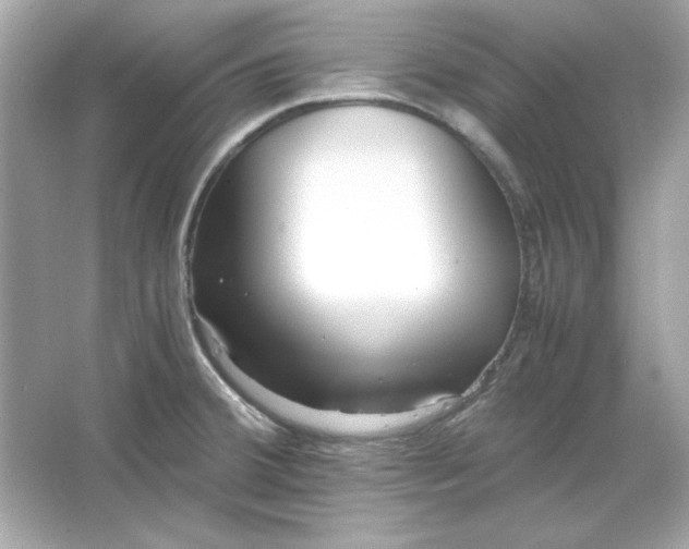 X0000066021380200603171520