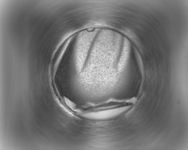 X0000066021382200603171520