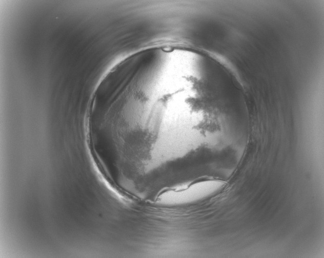 X0000066021383200603171520