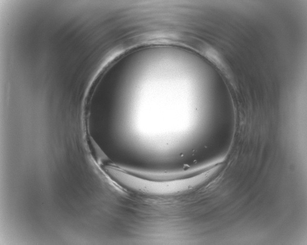 X0000066021384200603171520