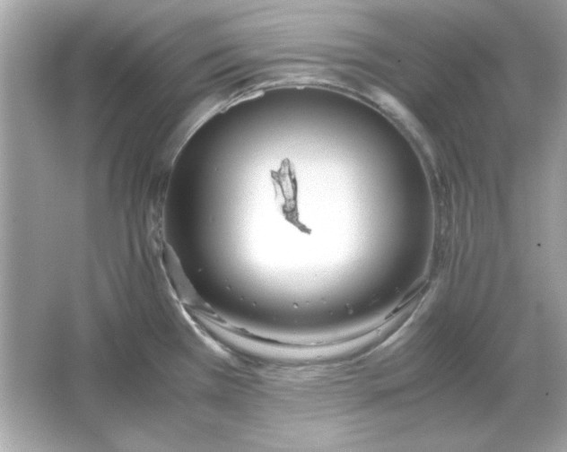 X0000066021385200603171520