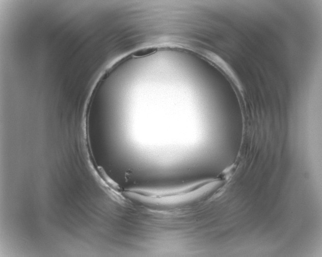 X0000066021388200603171520