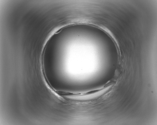 X0000066021389200603171520