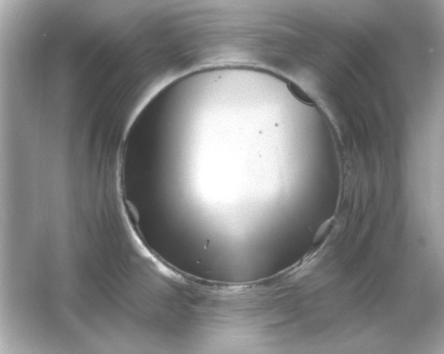 X0000066021390200603171520