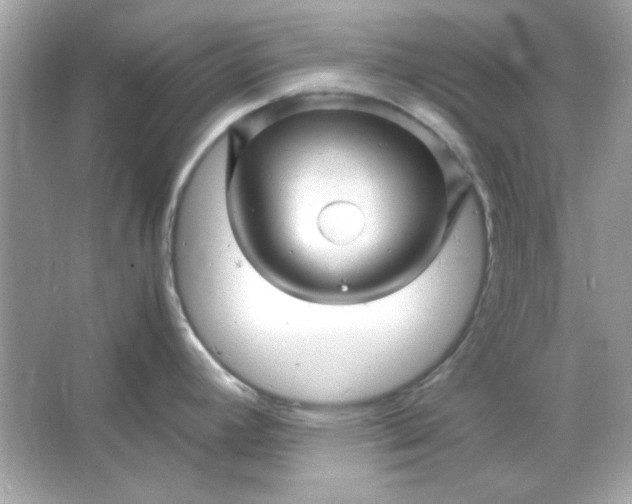 X0000066021392200603171520