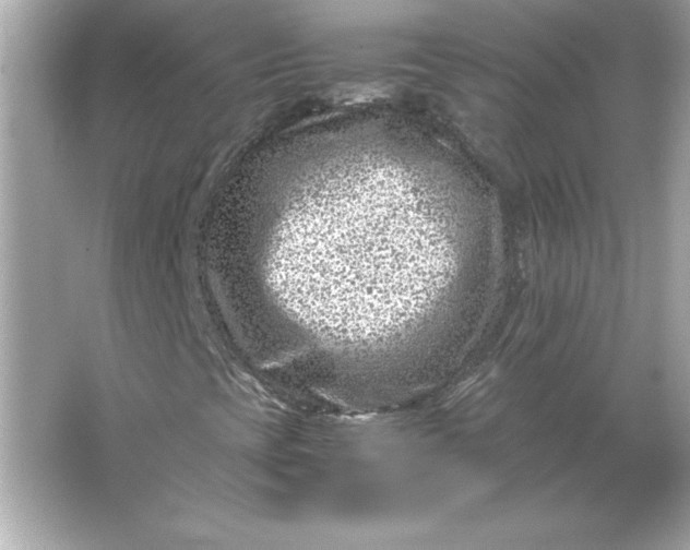 X0000066021393200603171519