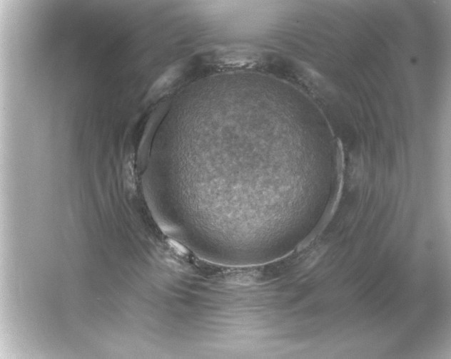 X0000066021394200603171519