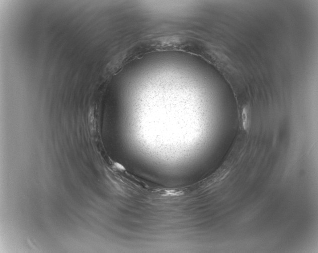 X0000066021395200603171519