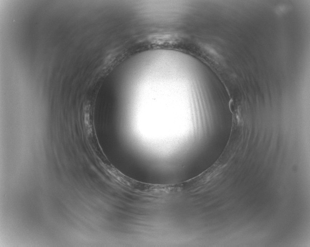 X0000066021396200603171519