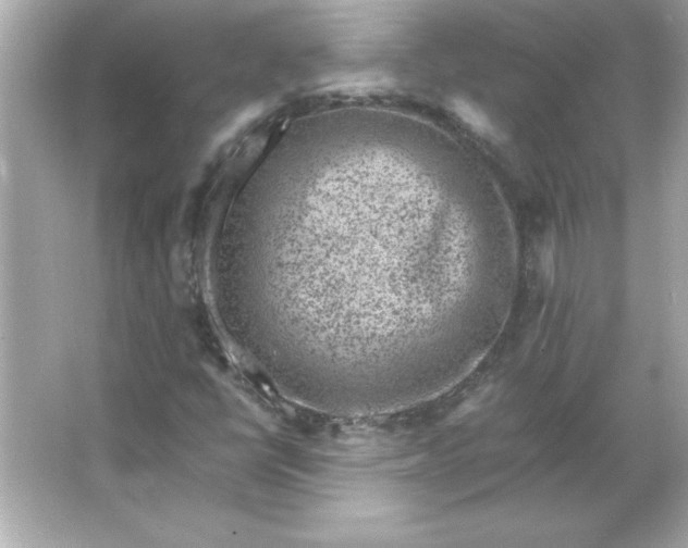 X0000066021398200603171520